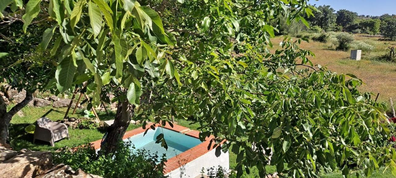 Casa Da Vizinha, Quinta Das Memorias Santo Antonio das Areias Екстер'єр фото